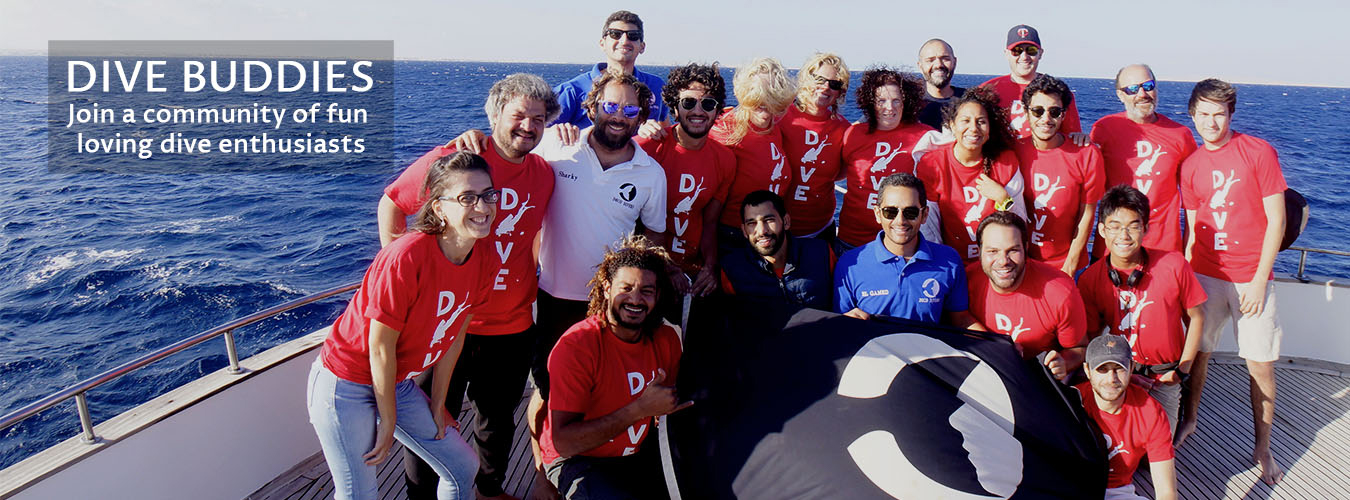 Banner 2 Buddies